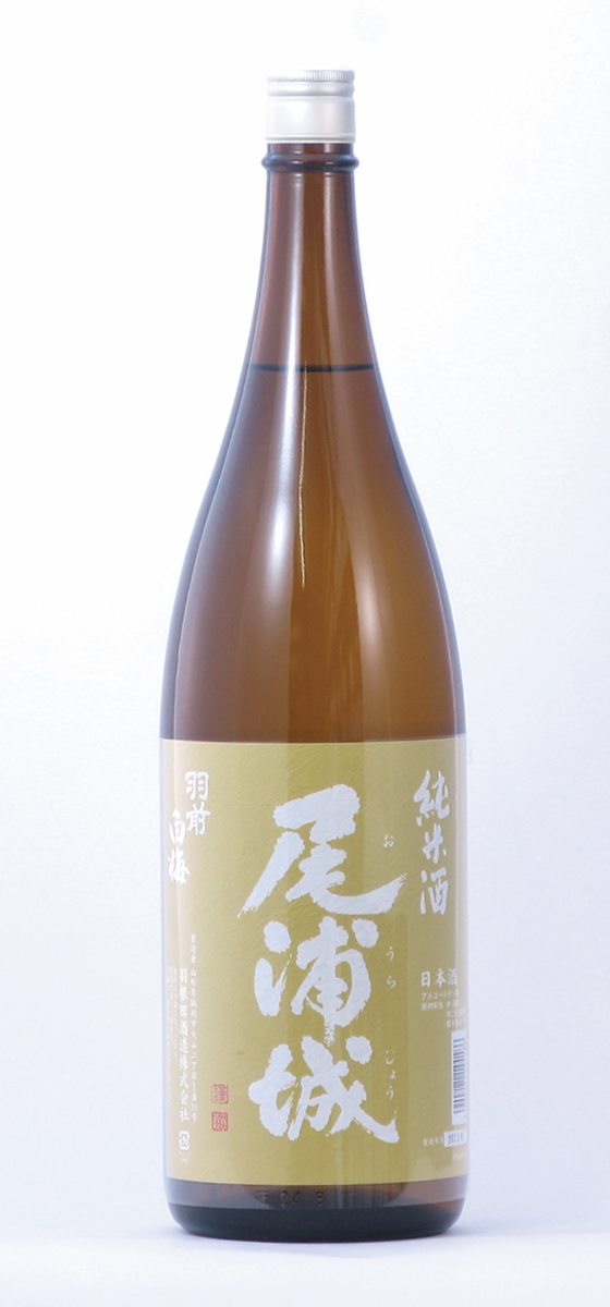 尾浦城　おうらじょう